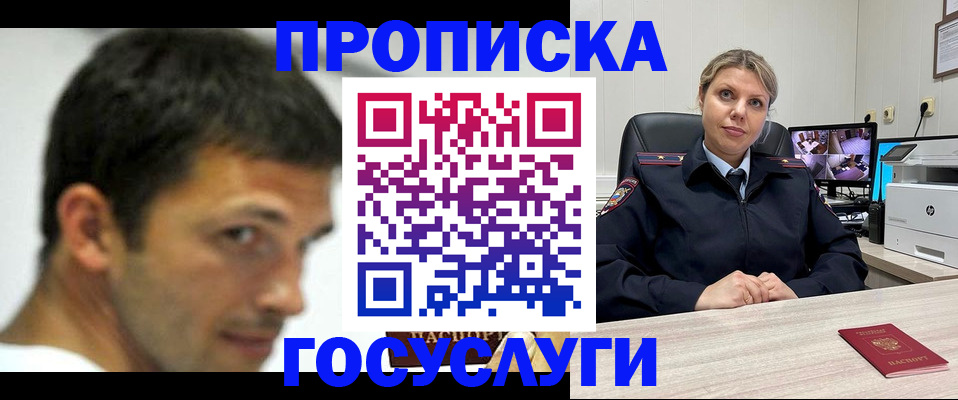 временная регистрация госуслуги в Щёлково