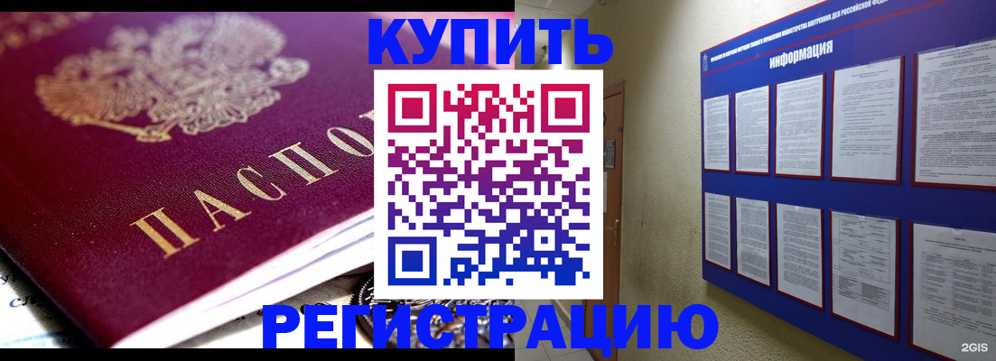 прописка поиск в Щёлково