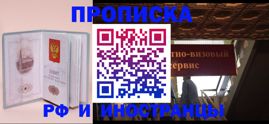 купить прописку в Щёлково